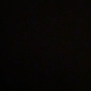 Meet your Posher, Daisy